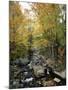 Stream Flowing in a Forest, Vermont, USA-null-Mounted Photographic Print