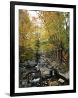 Stream Flowing in a Forest, Vermont, USA-null-Framed Photographic Print