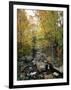 Stream Flowing in a Forest, Vermont, USA-null-Framed Photographic Print