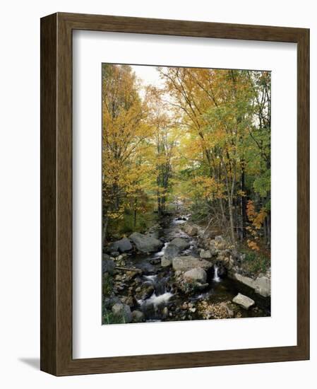 Stream Flowing in a Forest, Vermont, USA-null-Framed Photographic Print