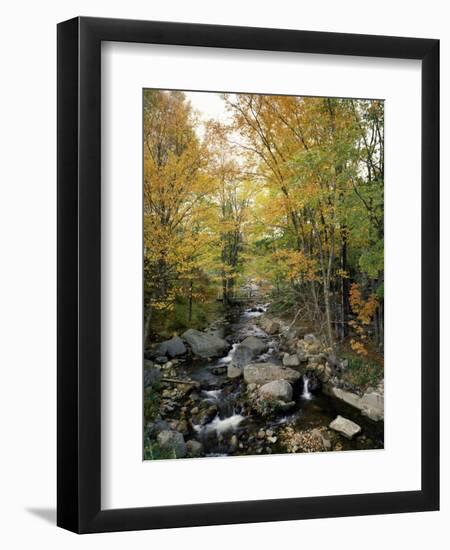 Stream Flowing in a Forest, Vermont, USA-null-Framed Photographic Print