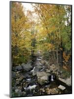 Stream Flowing in a Forest, Vermont, USA-null-Mounted Photographic Print