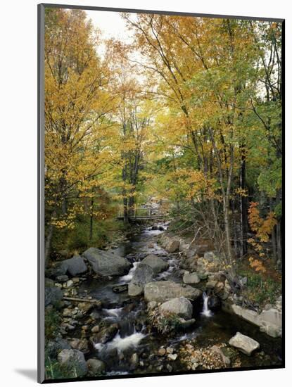 Stream Flowing in a Forest, Vermont, USA-null-Mounted Photographic Print