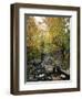 Stream Flowing in a Forest, Vermont, USA-null-Framed Premium Photographic Print