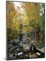 Stream Flowing in a Forest, Vermont, USA-null-Mounted Premium Photographic Print