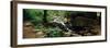 Stream Flowing in Forest, Lost Valley State Park, Ozark National Forest, Ozark Mountains, Arkansas-null-Framed Photographic Print