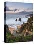 Stream flowing into the Pacific Ocean at Soberanes Point with the coastline in view-Sheila Haddad-Stretched Canvas