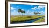 Stream flowing through a field, Florida, USA-null-Framed Photographic Print