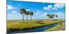 Stream flowing through a field, Florida, USA-null-Mounted Photographic Print