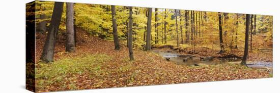 Stream Flowing Through a Forest, Emery Park, East Aurora, Erie County, New York, USA-null-Stretched Canvas