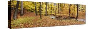 Stream Flowing Through a Forest, Emery Park, East Aurora, Erie County, New York, USA-null-Stretched Canvas