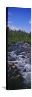 Stream Flowing Through a Forest, Little Willow Creek, Hatcher Pass Road, Alaska, USA-null-Stretched Canvas