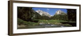 Stream Flowing Through a Forest, Mt Santis, Mt Altmann, Appenzell Alps, St Gallen Canton, Switze...-null-Framed Photographic Print