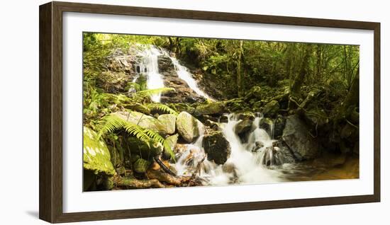 Stream flowing through a forest, Tzaneen, Limpopo Province, South Africa-null-Framed Photographic Print