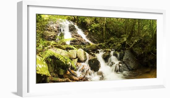 Stream flowing through a forest, Tzaneen, Limpopo Province, South Africa-null-Framed Photographic Print