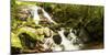 Stream flowing through a forest, Tzaneen, Limpopo Province, South Africa-null-Mounted Photographic Print