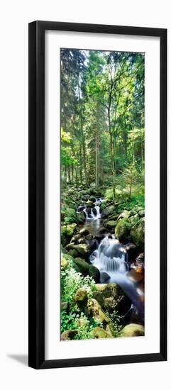 Stream flowing through a forest, USA-null-Framed Premium Photographic Print