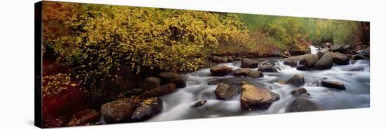 Stream Flowing Through a Forest-null-Stretched Canvas