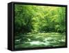 Stream Flowing Through a Forest-null-Framed Stretched Canvas