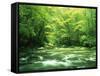 Stream Flowing Through a Forest-null-Framed Stretched Canvas