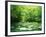 Stream Flowing Through a Forest-null-Framed Photographic Print