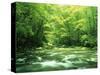 Stream Flowing Through a Forest-null-Stretched Canvas