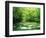 Stream Flowing Through a Forest-null-Framed Photographic Print