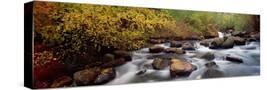 Stretched Canvas