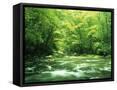Canvas Black