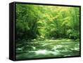 Canvas Black