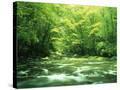 Stretched Canvas