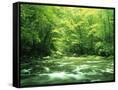 Canvas Black