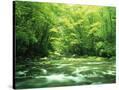 Stretched Canvas
