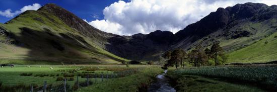 Photographic Print, , large