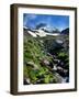 Stream flowing through rocks, Mt Hood, Mt Hood Wilderness, Mt Hood National Forest, Hood River C...-null-Framed Photographic Print