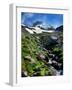 Stream flowing through rocks, Mt Hood, Mt Hood Wilderness, Mt Hood National Forest, Hood River C...-null-Framed Photographic Print