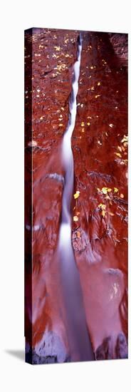 Stream Flowing Through Rocks, North Creek, Zion National Park, Utah, USA-null-Stretched Canvas