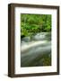 Stream Flowing through the Forest-herreid-Framed Photographic Print