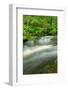 Stream Flowing through the Forest-herreid-Framed Photographic Print