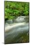 Stream Flowing through the Forest-herreid-Mounted Photographic Print