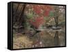 Stream Flowing Through the Woods-null-Framed Stretched Canvas