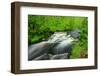 Stream Flowing through the Woods-herreid-Framed Photographic Print