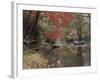 Stream Flowing Through the Woods-null-Framed Photographic Print