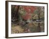 Stream Flowing Through the Woods-null-Framed Photographic Print