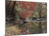 Stream Flowing Through the Woods-null-Mounted Photographic Print