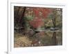 Stream Flowing Through the Woods-null-Framed Photographic Print