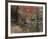 Stream Flowing Through the Woods-null-Framed Photographic Print