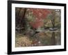 Stream Flowing Through the Woods-null-Framed Photographic Print