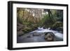 Stream Flowing Through Woodland in England-Clive Nolan-Framed Photographic Print