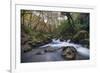 Stream Flowing Through Woodland in England-Clive Nolan-Framed Photographic Print